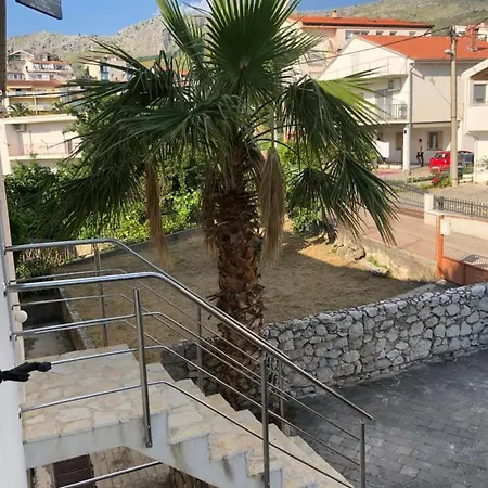 Dalmatia *